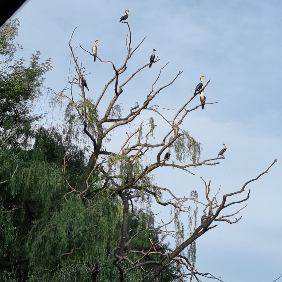 5 Bedroom Property for Sale in River Lodge Estate Free State